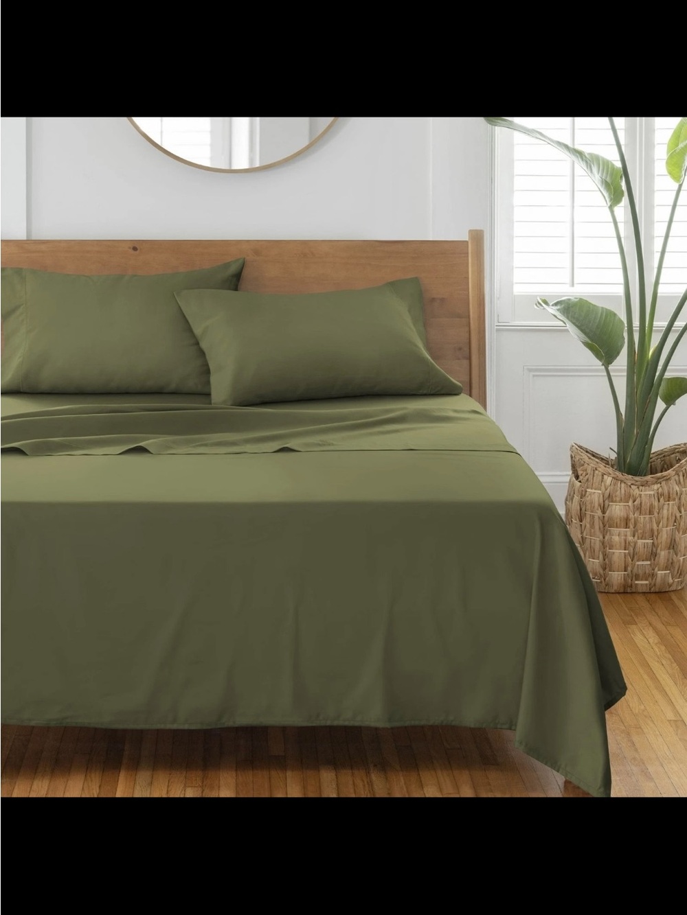 Better Home & Gardens 3pc twin Cotton Sheet sets Dark Green